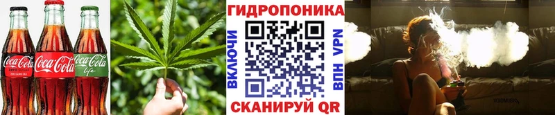 MEGA tor  Балашов  Печенье с ТГК марихуана  купить  