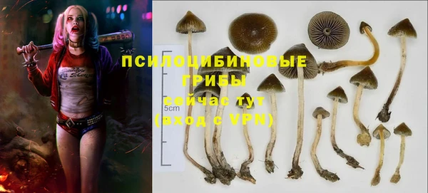 ALPHA-PVP Алексеевка