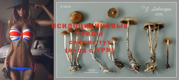 сатива Алзамай