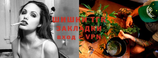 сатива Алзамай