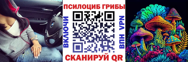 kraken как зайти  Балашов  Галлюциногенные грибы ЛСД  где найти наркотики 